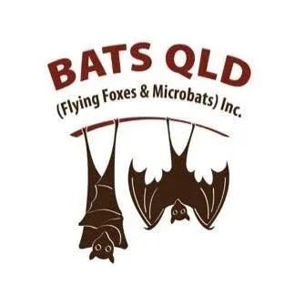 Bats Queensland
