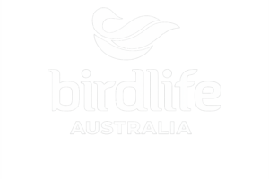 BirdLife Australia