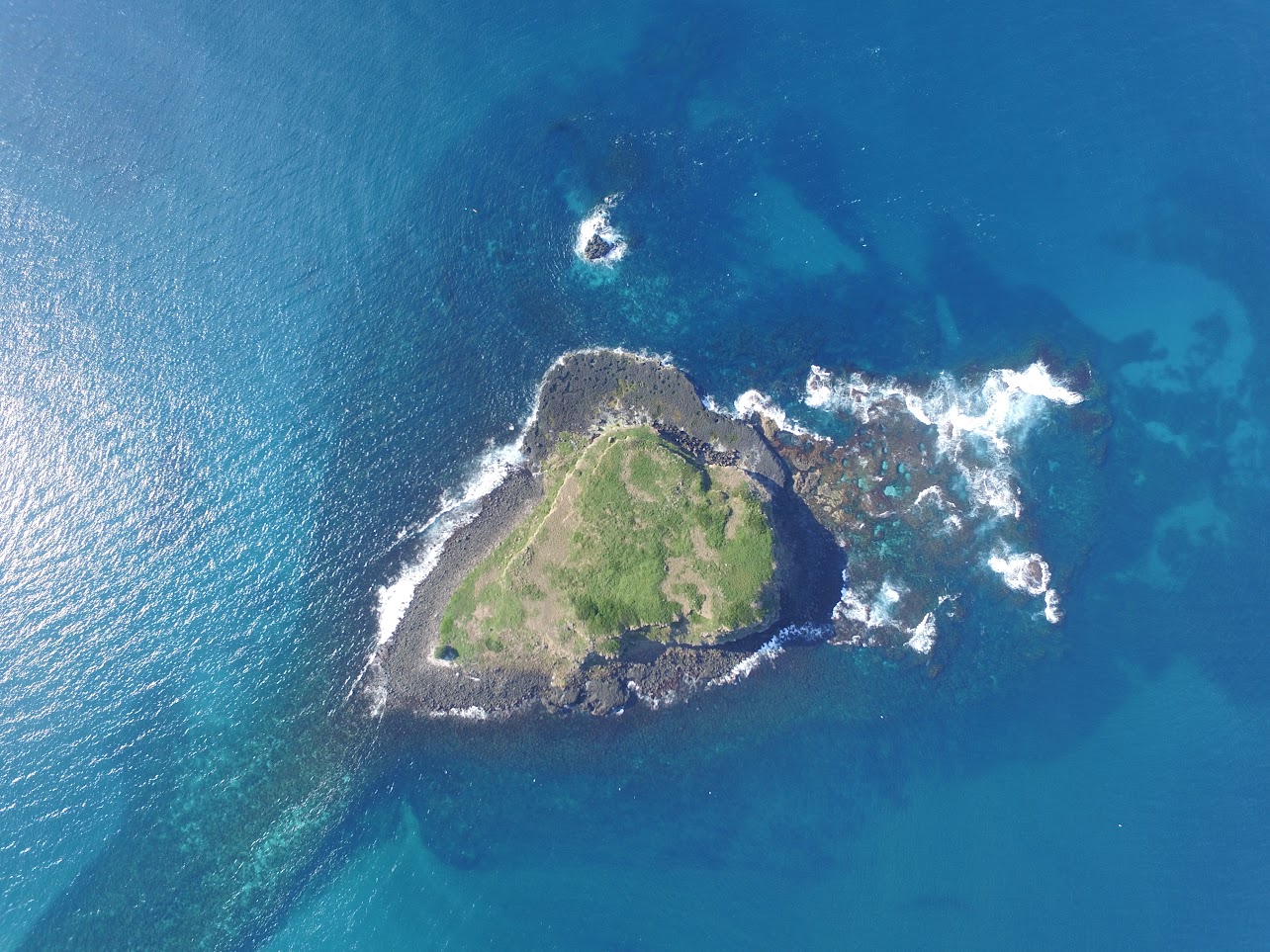 Aerial view of Cook Island and the reef of the aquatic reserve