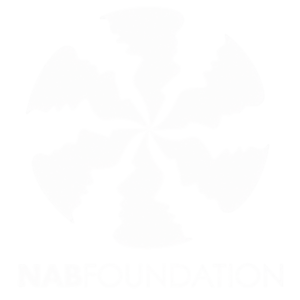 NAB Foundation
