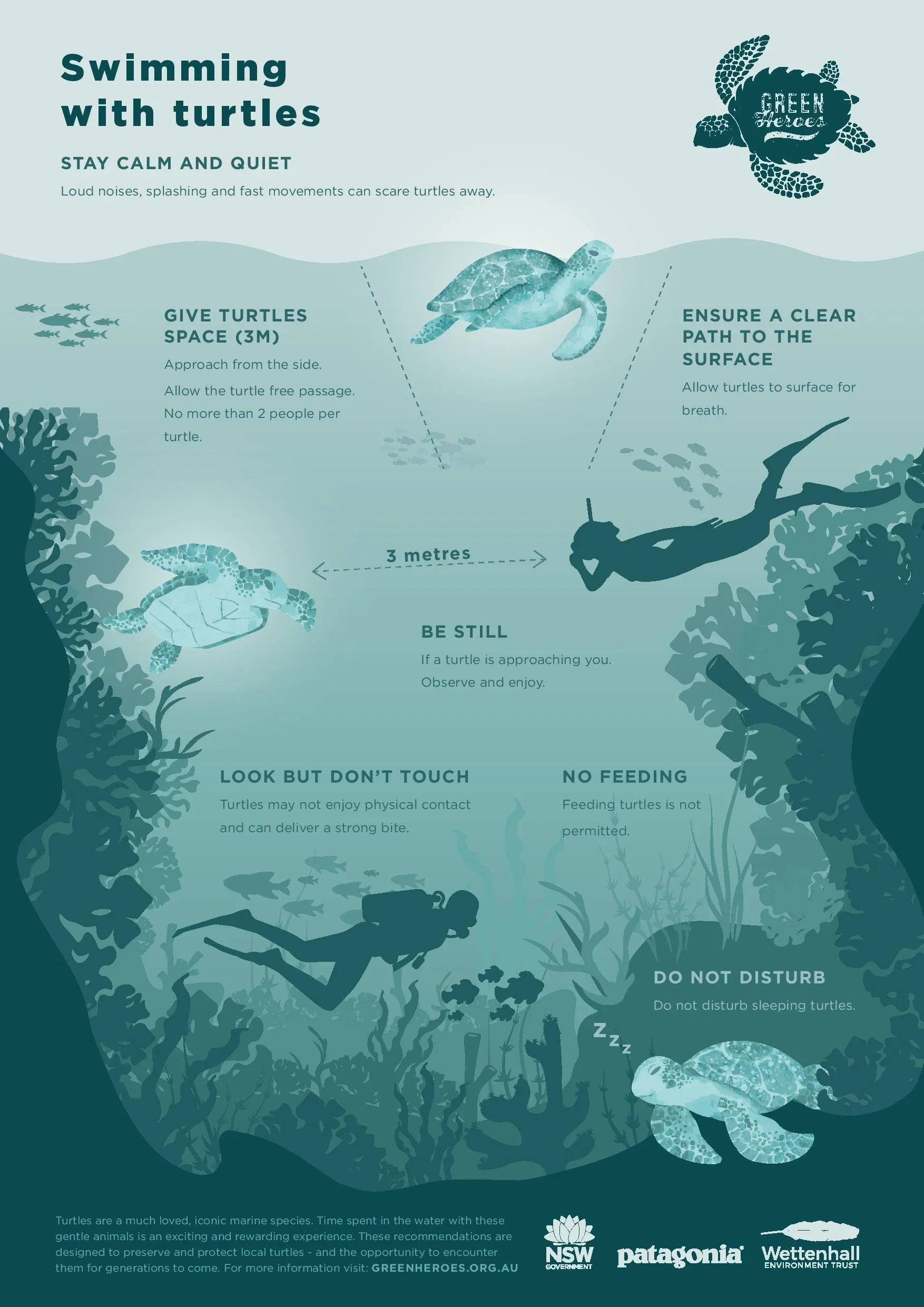 Swimming with Turtles code of conduct poster