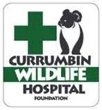 Currumbin Wildlife Foundation