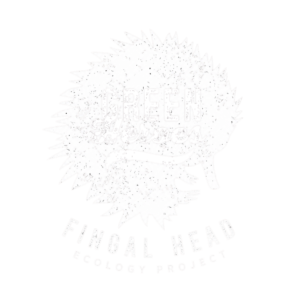 Fingal Head Ecology Project