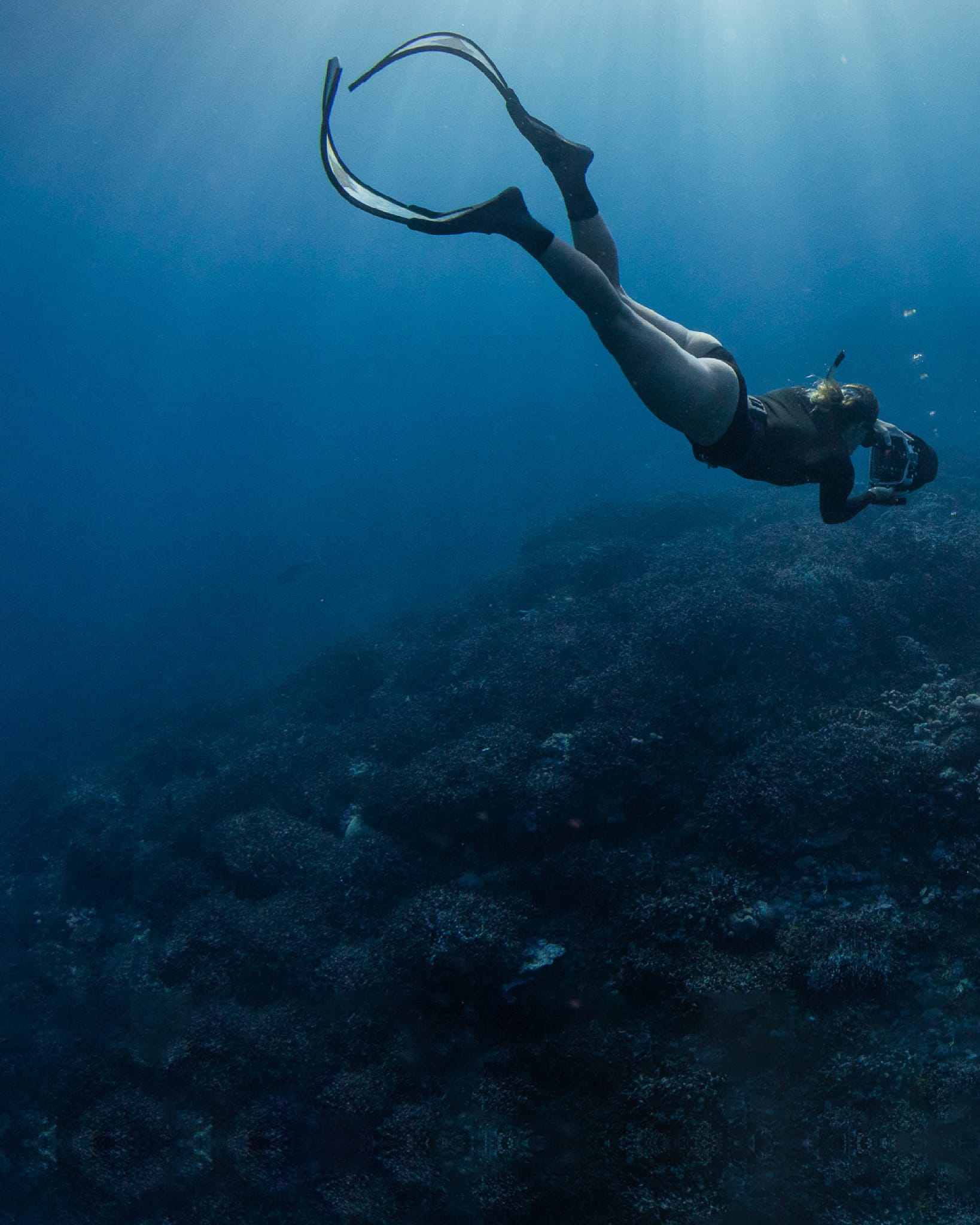 Explore — conservation education