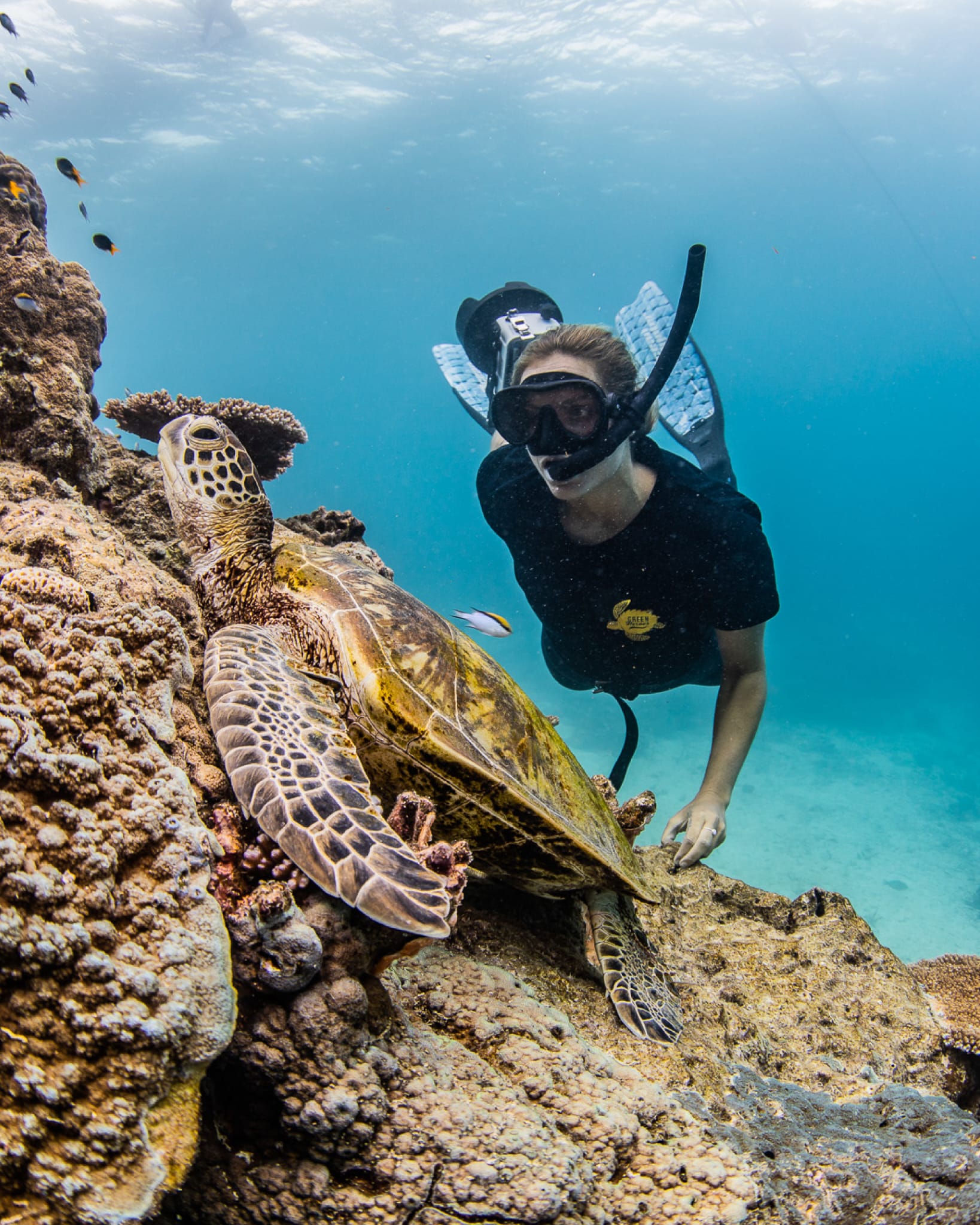 Take Action — field surveys