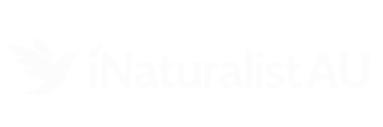 iNaturalist