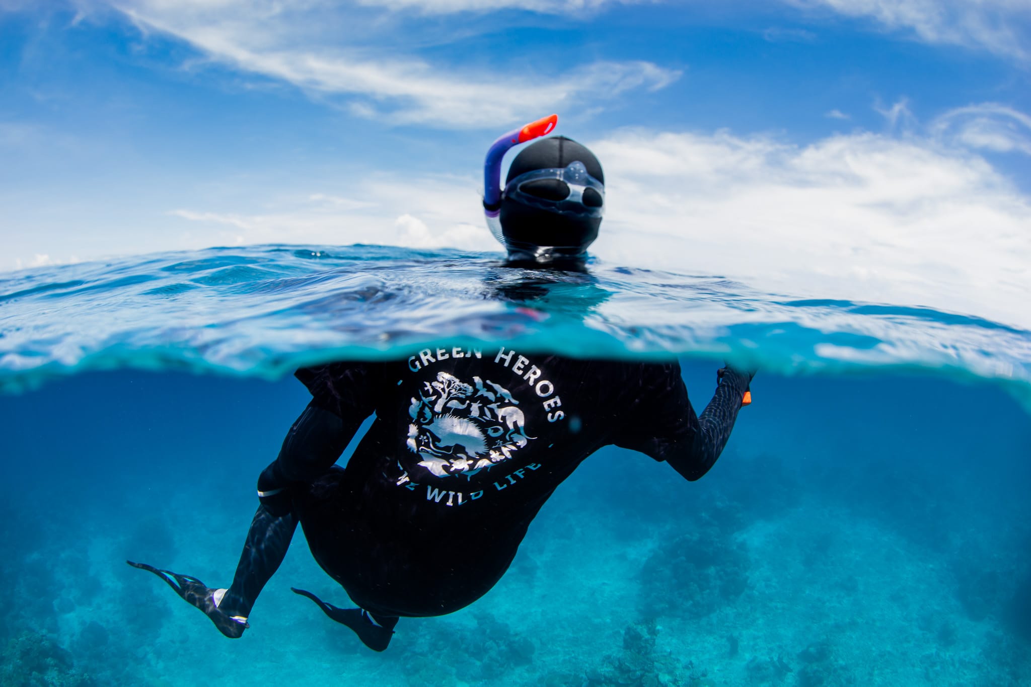 SeaWeek 2027: Become an Ocean Explorer