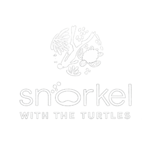 Snorkel with the Turtles