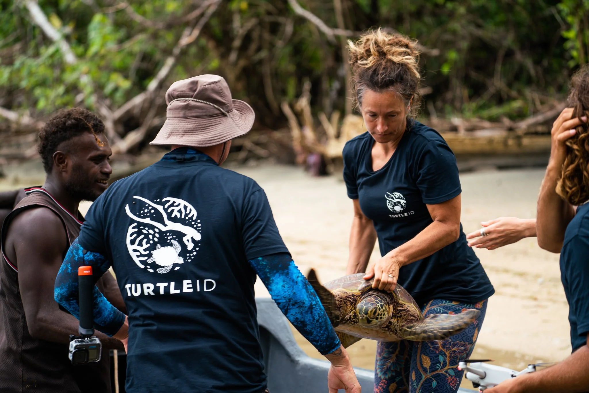 Green sea turtle at Cook Island