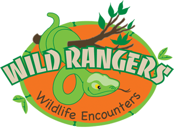 Wild Rangers
