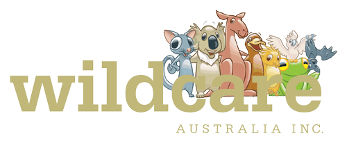 Wildcare Australia